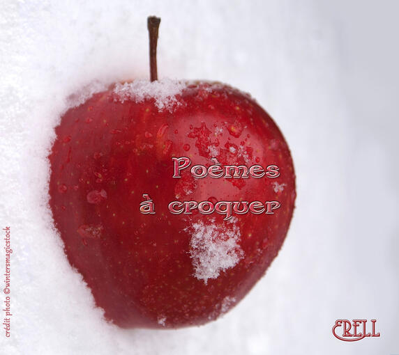 Écriture, traduction