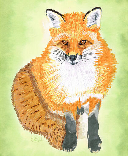 Illustration, peinture