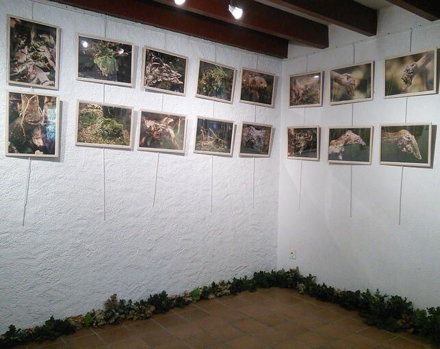 Expos, salons, conventions